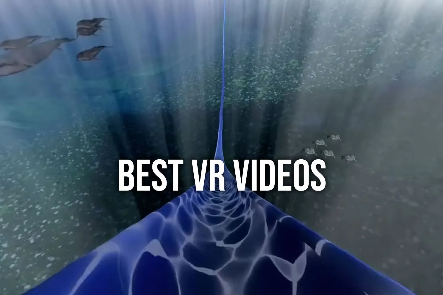 Best VR videos – Pimax Store